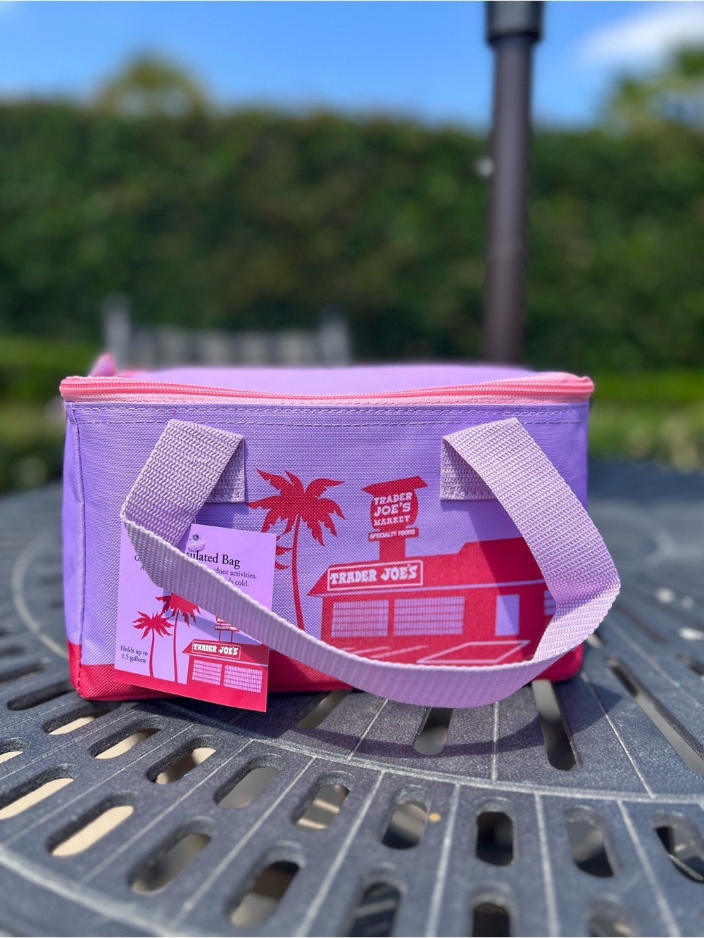 Trader Joe’s mini bag